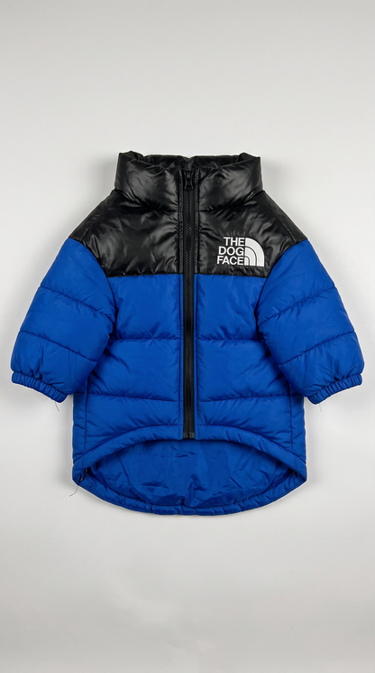 PawPeak Puffer Jacket on a dog