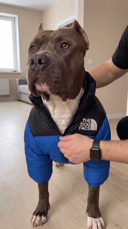 PawPeak Puffer Jacket on a dog