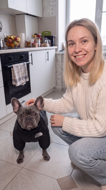 PawPeak Puffer Jacket on a dog